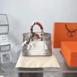Hermès Birkin 25 Himalaya Blanc 25Cm - Image 2