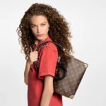 Louis Vuitton Speedy Trunk 25 Monogram Brown 27Cm M26181 - Image 8