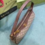 Gucci Ophidia Small Shoulder Bag Beige and Dark Brown 25Cm 735145 KAAAD 8358 - Image 6