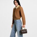 Louis Vuitton Speedy Bandouliere 20 Monogram Canvas Brown 20Cm M26314 - Image 7