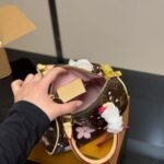 Louis Vuitton X Murakami Speedy Bandoulière 25 Cherry Blossom Sakura Brown 25cm M14174 - Image 5