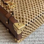 Louis Vuitton Side Trunk MM Natural Brown 23cm M14405 - Image 7
