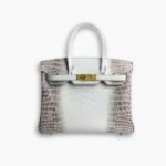 Hermes Birkin 30 Himalaya Blanc 30Cm