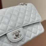 Chanel Classic Double Flap Bag Silver Hardware Baby Blue 25cm - Image 4