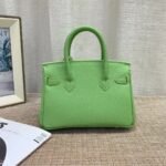 Hermès Birkin B25 Togo Grenat Green 20cm - Image 5