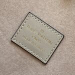 Louis Vuitton Epi Neverfull MM 32cm Galet Grey - Image 5