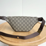 Gucci Ophidia Small Belt Bag Beige And Dark Brown 30Cm ‎‎‎839106 FAEOF 9745 - Image 6