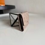 Louis Vuitton Iris Compact Wallet Beige 12Cm M62542 - Image 4